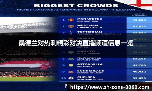 桑德兰对热刺精彩对决直播频道信息一览